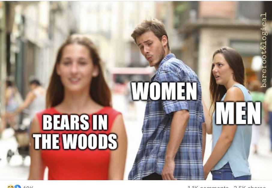 « Vous choisissez un ours, non ? » Depuis quelques jours cette question circule sur les RS américains. Le contexte : imaginez-vous seule et sans arme dans la forêt. « Préférez-vous rencontrer un ours ou un homme ? » Toutes les femmes répondent un ours. Petite sélection de meme👇