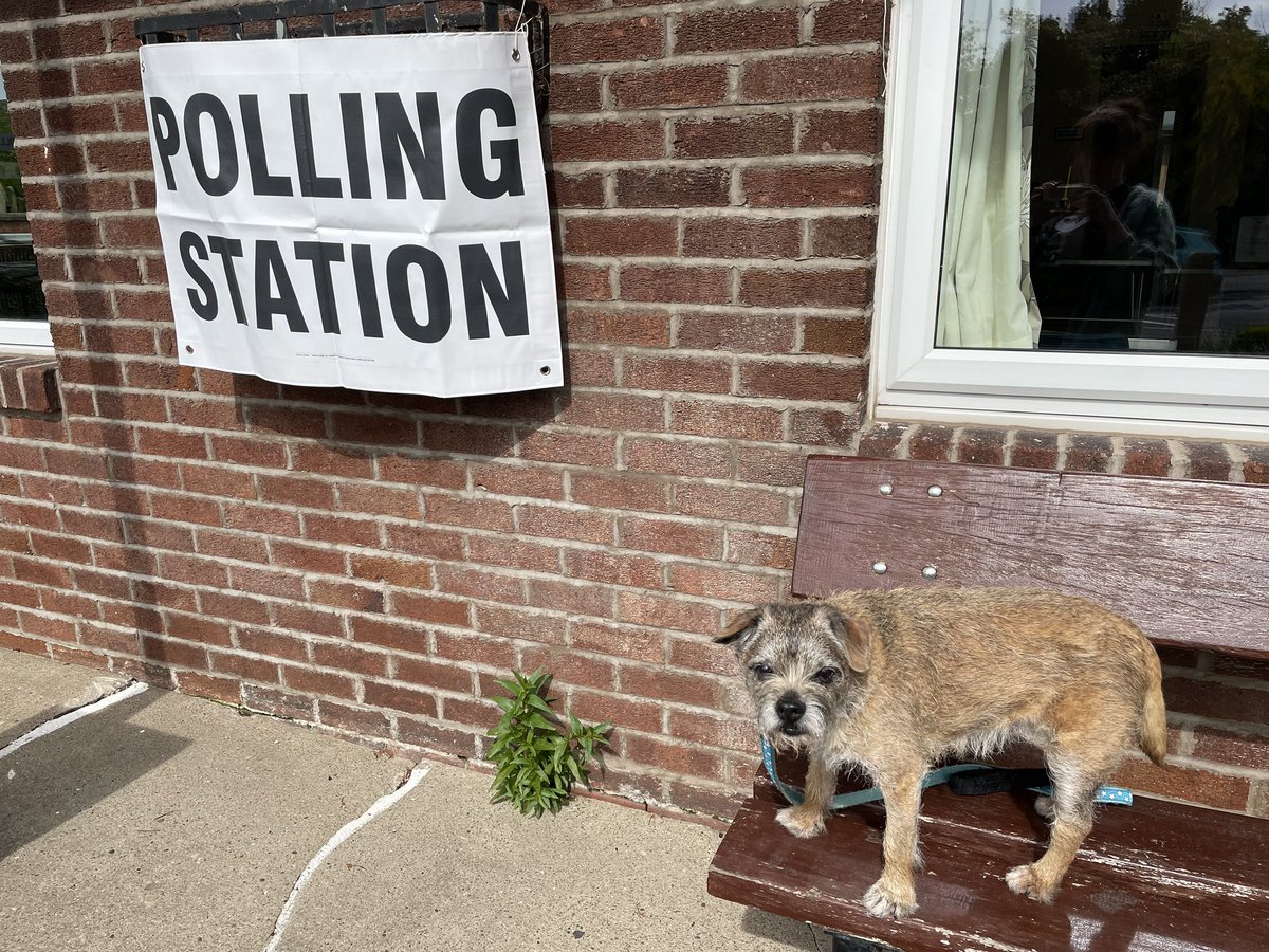 #dogsatpollingstations