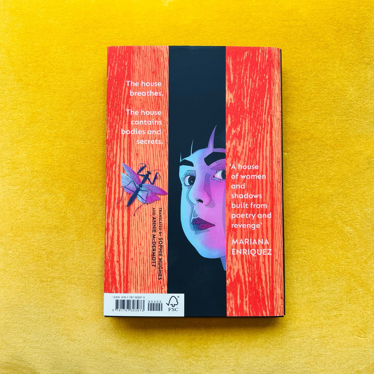 Happy publication to Layla Martinez & translators Sophie Hughes& @annielmcd! 'Tense, chilling' Mariana Enriquez 'Lays bare intergenerational horror, feminine rage & the taking back of power' @StylistMagazine Class-conscious horror that drags generations of monsters into the☀️