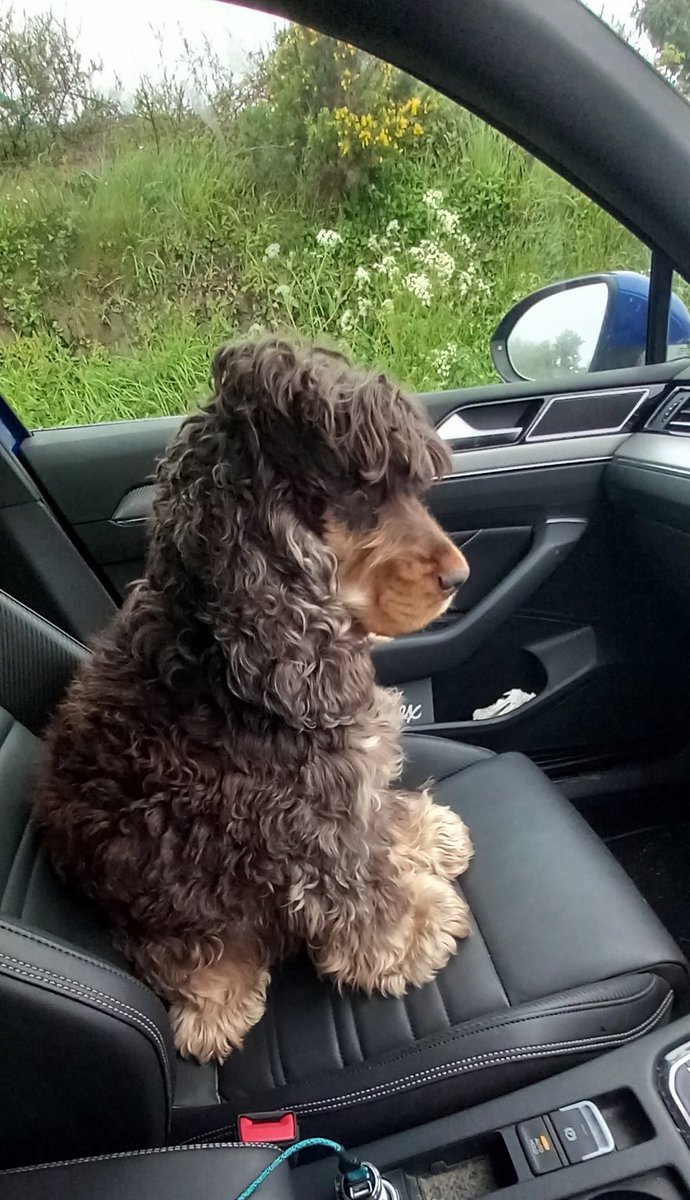 Riding shotgun with Dadz.
Deep in thought 🤔🏴󠁧󠁢󠁷󠁬󠁳󠁿❤️