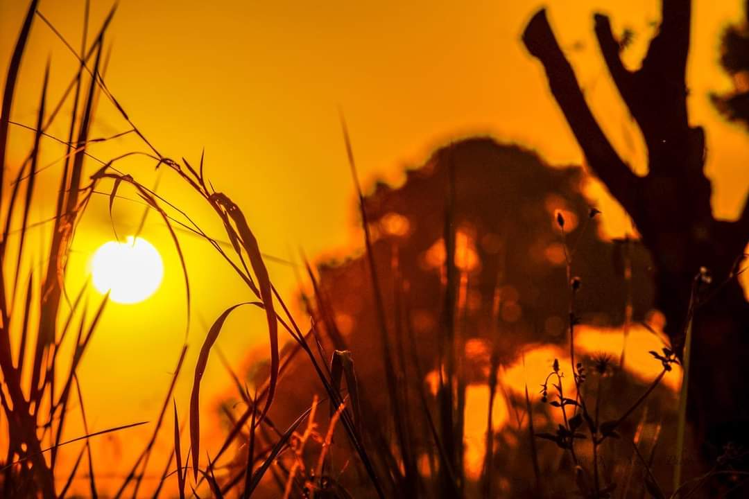 Sunsets when captured at the right moment create magical masterpieces!
@ExploreUganda @ExploreUg_Pearl @GovUganda 
📸 @marvinmiles256