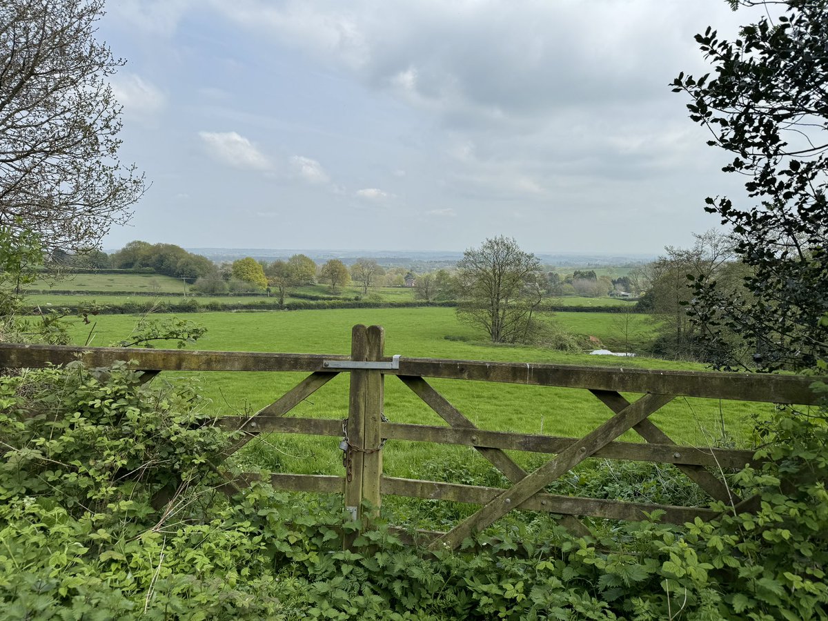 My day didn’t turn out as expected - but it was unexpectedly great.

Like, I got nothing done. But I had a whale of a time getting nothing done.

Sometimes being out in nature is just the best thing.