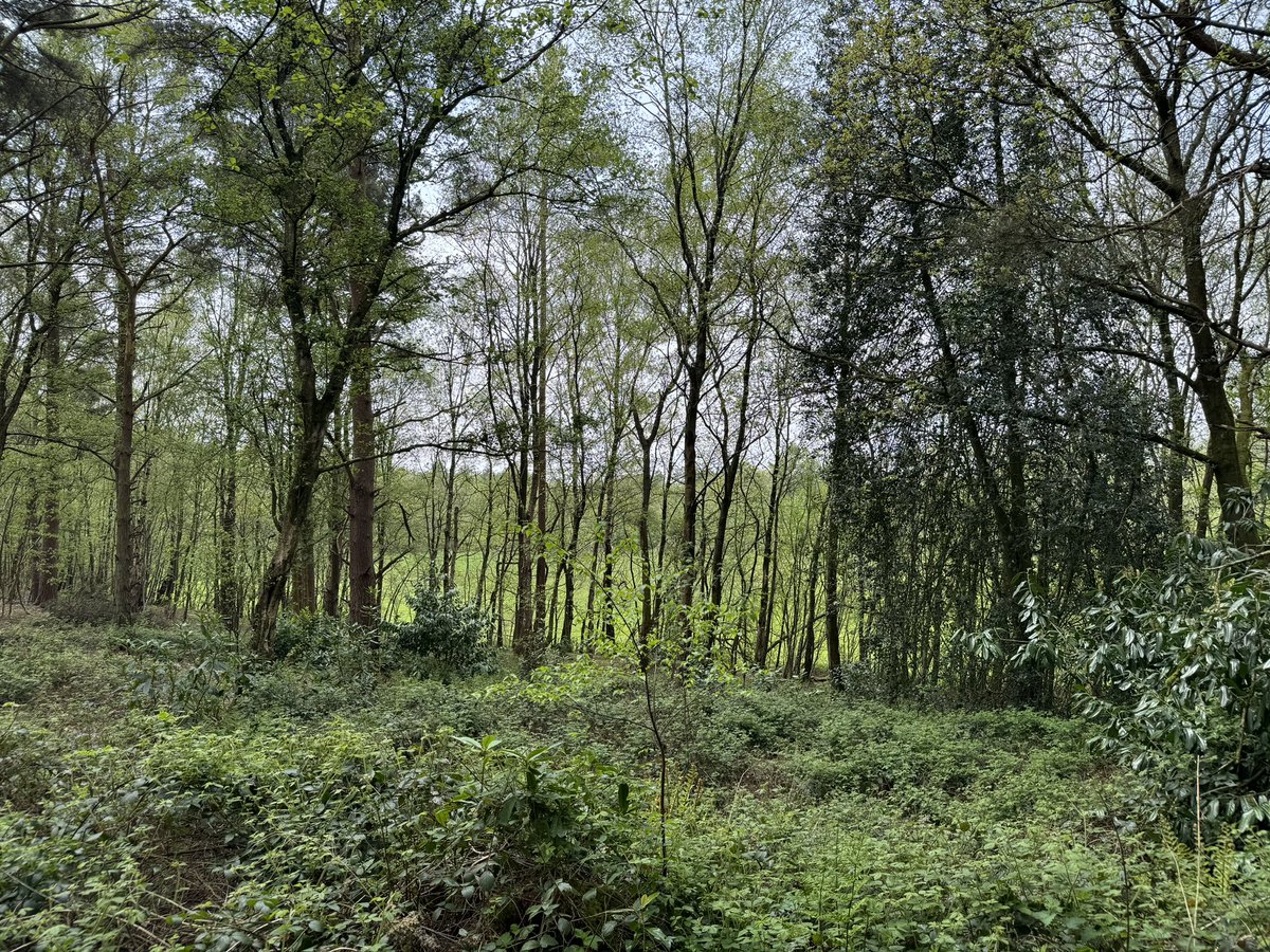 Dan Flower tweet media