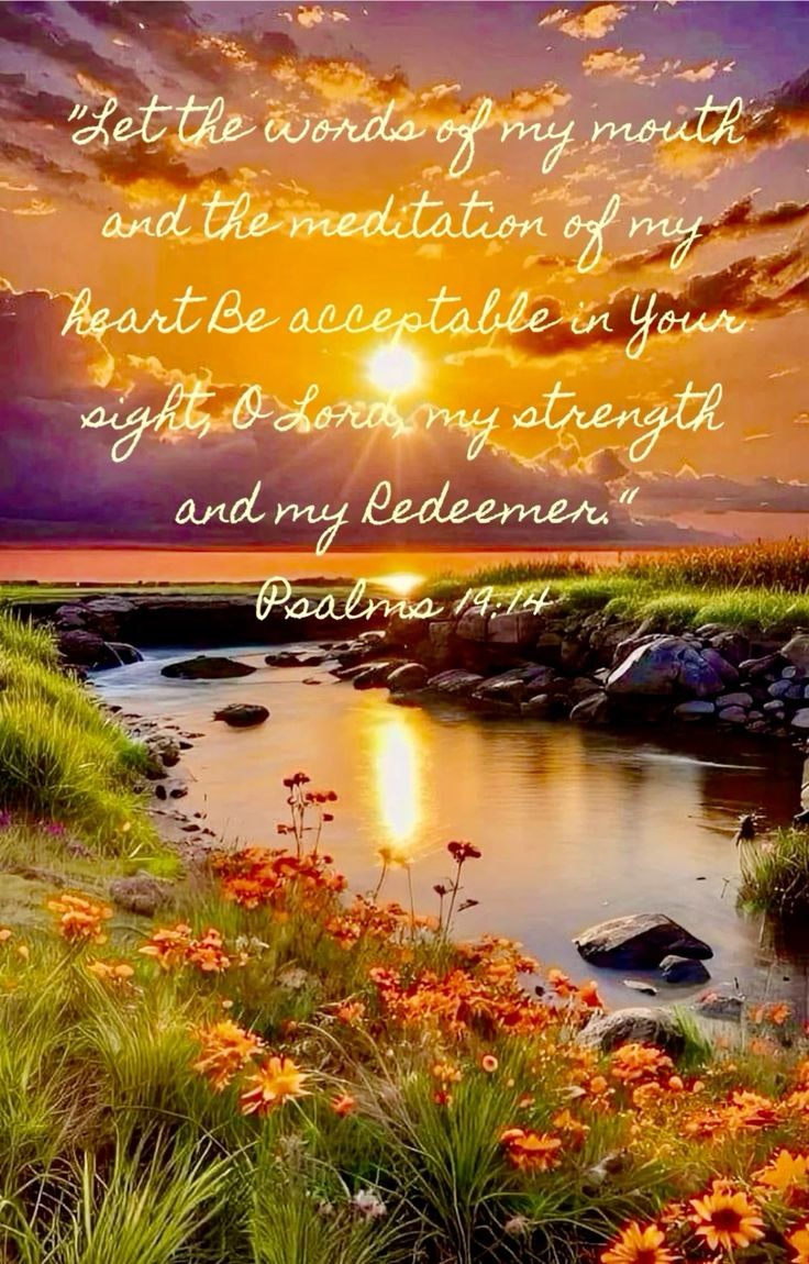 Psalms 19:14 NLT
May the words of my mouth and the meditation of my heart be pleasing to you, O Lord, my rock and my redeemer.

Good Morning Saints!🌞
