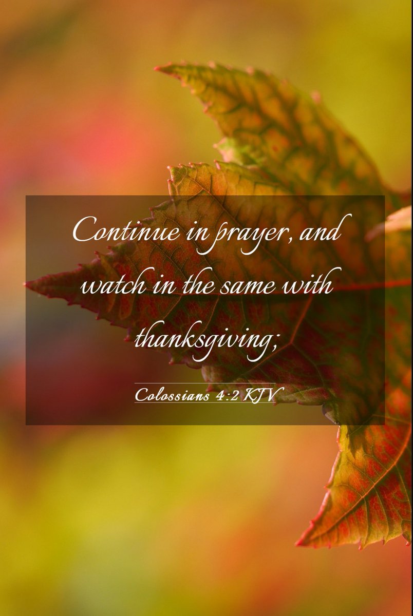 When we learn to pray daily to God,we become attuned to God's voice;Let's make room in our hearts & schedules to commune with God, watch for His movement, & give thanks for His steadfast love #pray #ThankGodForEverything #maketimeforGod #JesusIsGod #jesuslovesyou