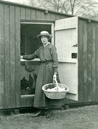 #Photograph of our first woman #zookeeper, Marion Saunders, standing in front of a chicken shed holding a basket of #eggs in 1916. She ran poultry exhibitions
@zsllondonzoo to encourage the public to keep chickens for eggs. #onlineartexchange