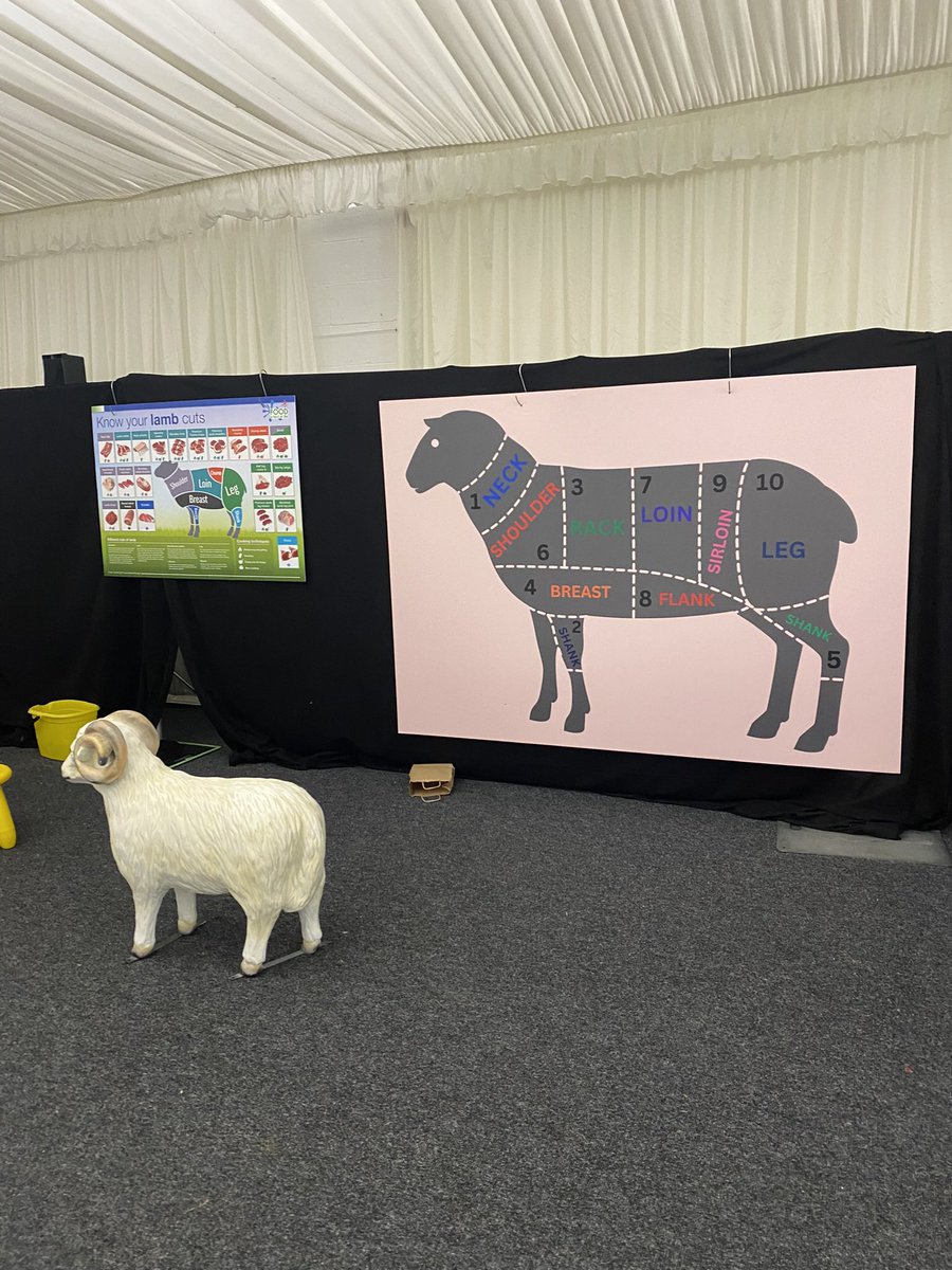 Today over 2,700 children visited Living Land to learn about agriculture, food, the environment and much more. An excellent event, supported by @RochesterBridge