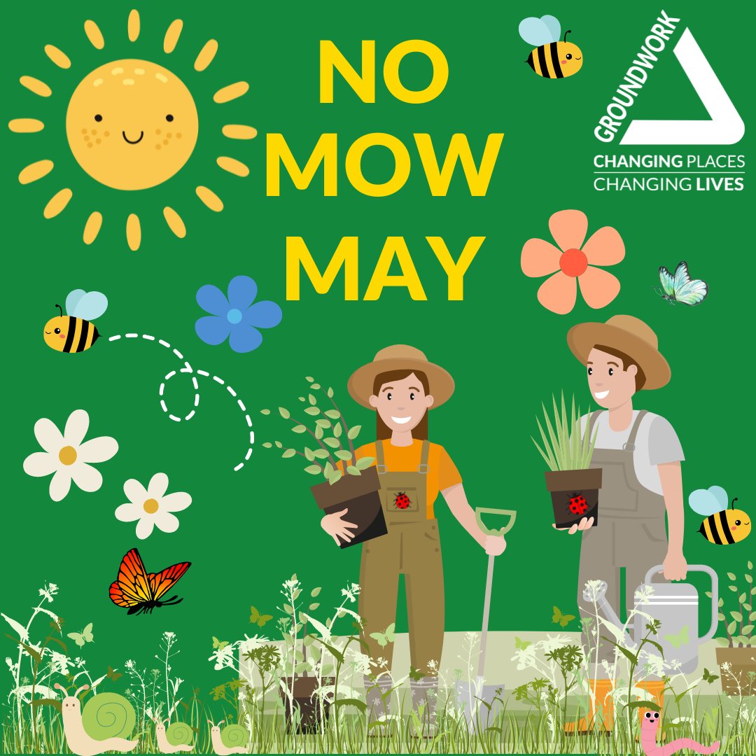By not mowing your lawn this month, you can help increase biodiversity, tackle pollution and encourage carbon to be locked away underground🌲 For more information and to join the movement, head to bit.ly/44oF4bK #bees #biodiversity #wildflowers #UK #GroundworkEast