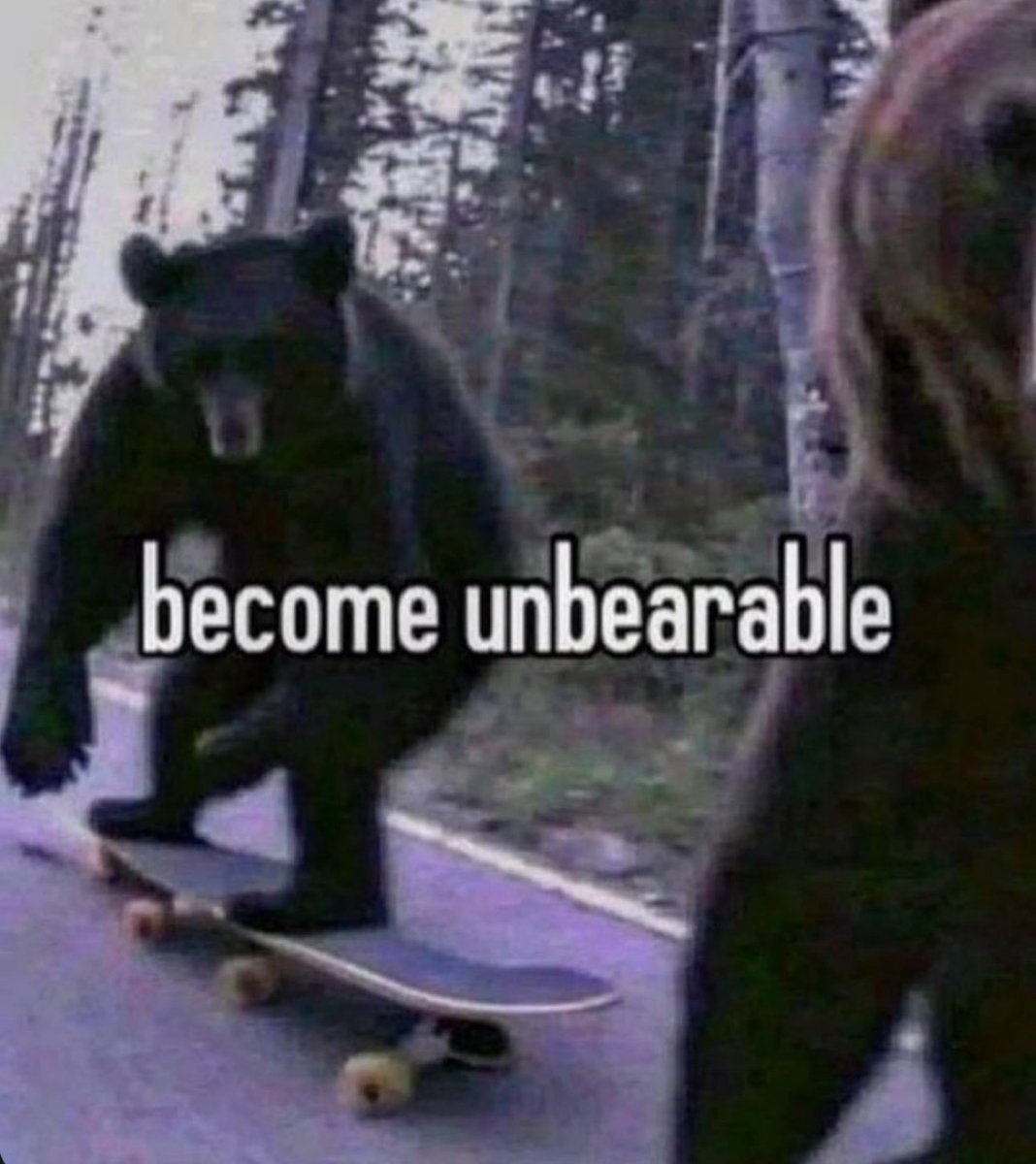 BearPosting tweet picture