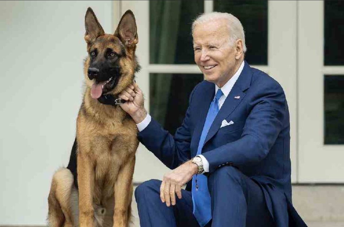 I’m voting for the guy that has owned and loves dogs (and they love him back)