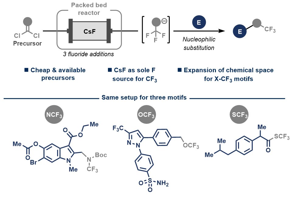 EU's potential ban on PFAS? We've developed a flow method to synthesize trifluoromethyl-heteroatom anions on demand using organic precursors and CsF. This allows for the precise addition of these groups at any stage!

Check it out @chemrxiv: chemrxiv.org/engage/chemrxi…
#flowchemistry