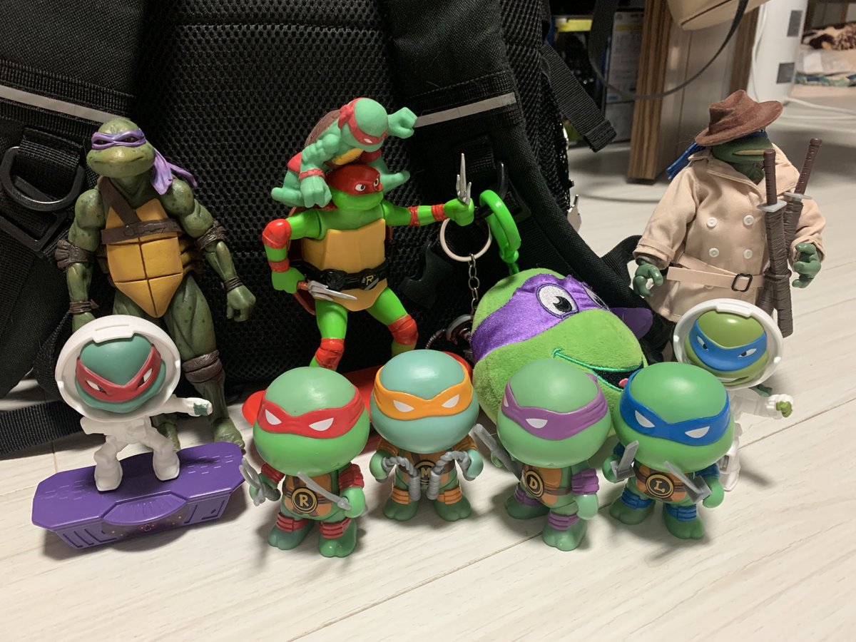 오랜만에 거북이들 ..