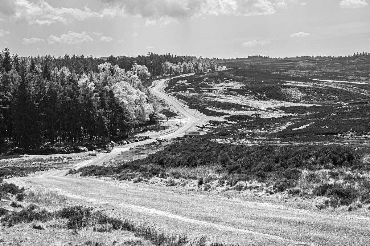 Long and winding road to Stape  in N. Yorkshire #yorkshireinblackandwhite #blackandwhitephotos #blackandwhitephotography #BWPMag #NorthYorkMoors #ForestryEngland #NorthYorkshire #LightintheForest #EgtonBridge #Stape #NorthYorkMoors #northyorkshiremoorsrailway