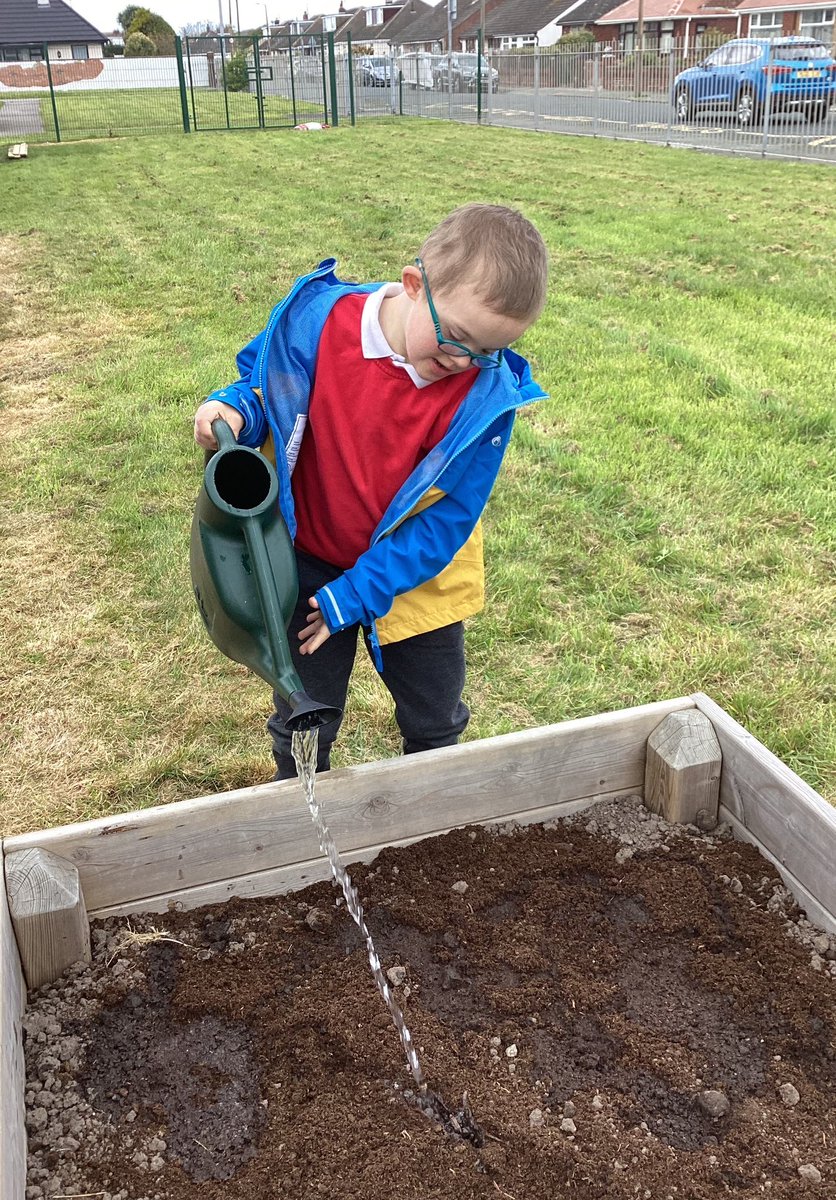 Violet class have been learning about growing plants and ways they can help them to grow. #outdoorlearning