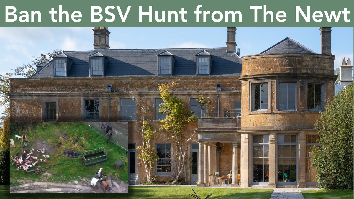 So it turns out the 'World's best boutique hotel' @thenewtsomerset allows the awful BSV Hunt, who are probably the worst offending fox hunt in the country, to meet on their land. Please join us in asking them to ban the hunt with immediate effect. protectthewild.org.uk/thenewtpetitio……