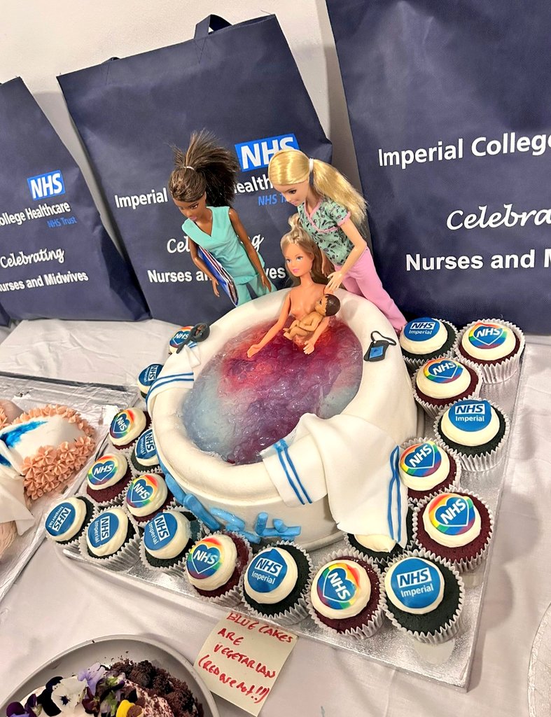 Delighted to join @SigsworthJanice in the judging of the maternity bake off celebrating International Day of the Midwife today. A worthy winner from Charlotte and a very close second from @Luckymoud .. They tasted delicious! 🎂🍰🧁😋 @ImperialPeople #IDM2024 #midwivesbakeoff
