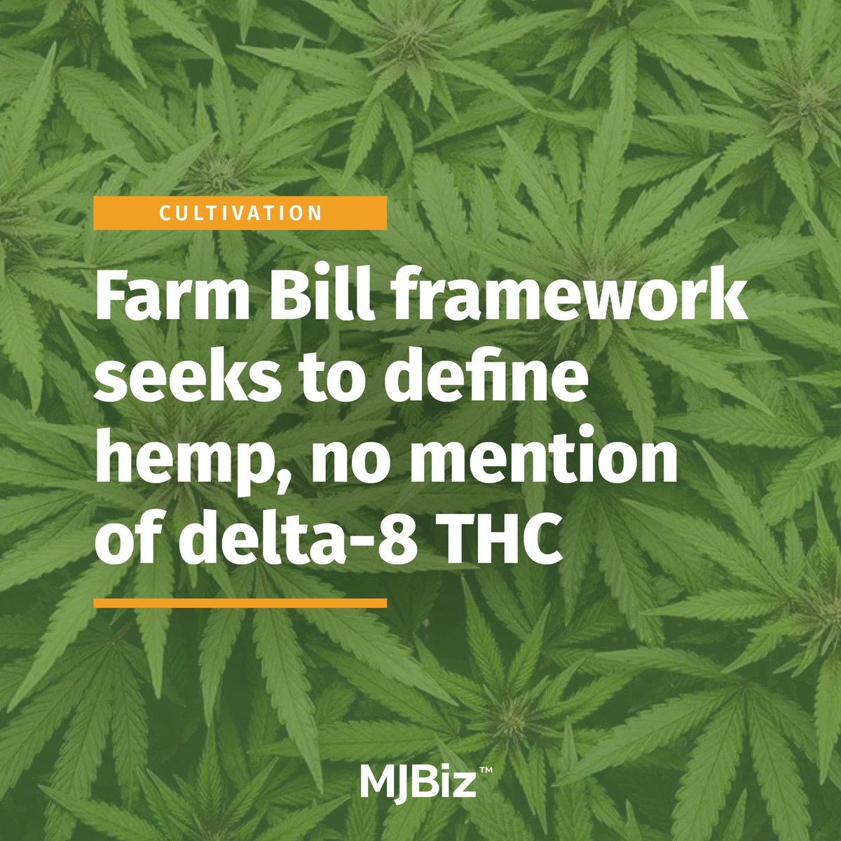 Democratic leaders on the U.S. Senate Agricultural Committee seek to define industrial hemp in the upcoming U.S. #FarmBill.

The framework stops short of attempting to put the genie back in the bottle for intoxicating #hemp-based cannabinoids, which  inadvertently were legalized…