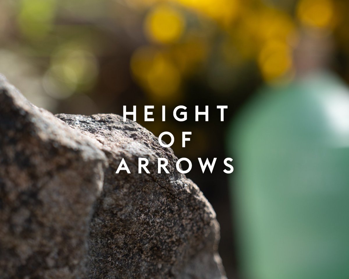 Same unique gin, new unique bottle 🏹 We’re excited to announce that Height of Arrows Gin has a gorgeous, bespoke, new look! Unveiling 10.05.2024. #heightofarrows #edinburghlife #edinburghlove #instagin #gin #edi #holyrooddistillery #ginstagram #ginlover #drinkresponsibly