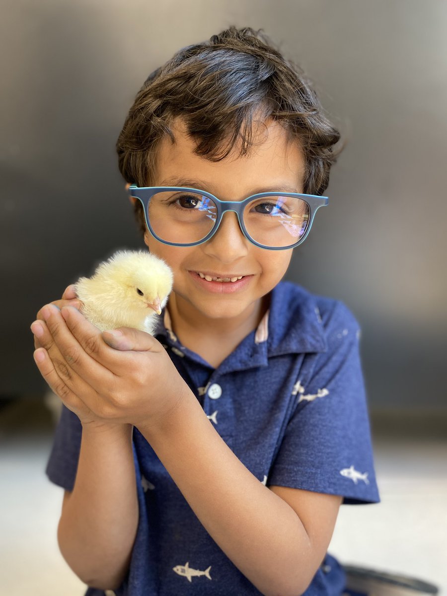 Kindergarten Wonderland tweet media