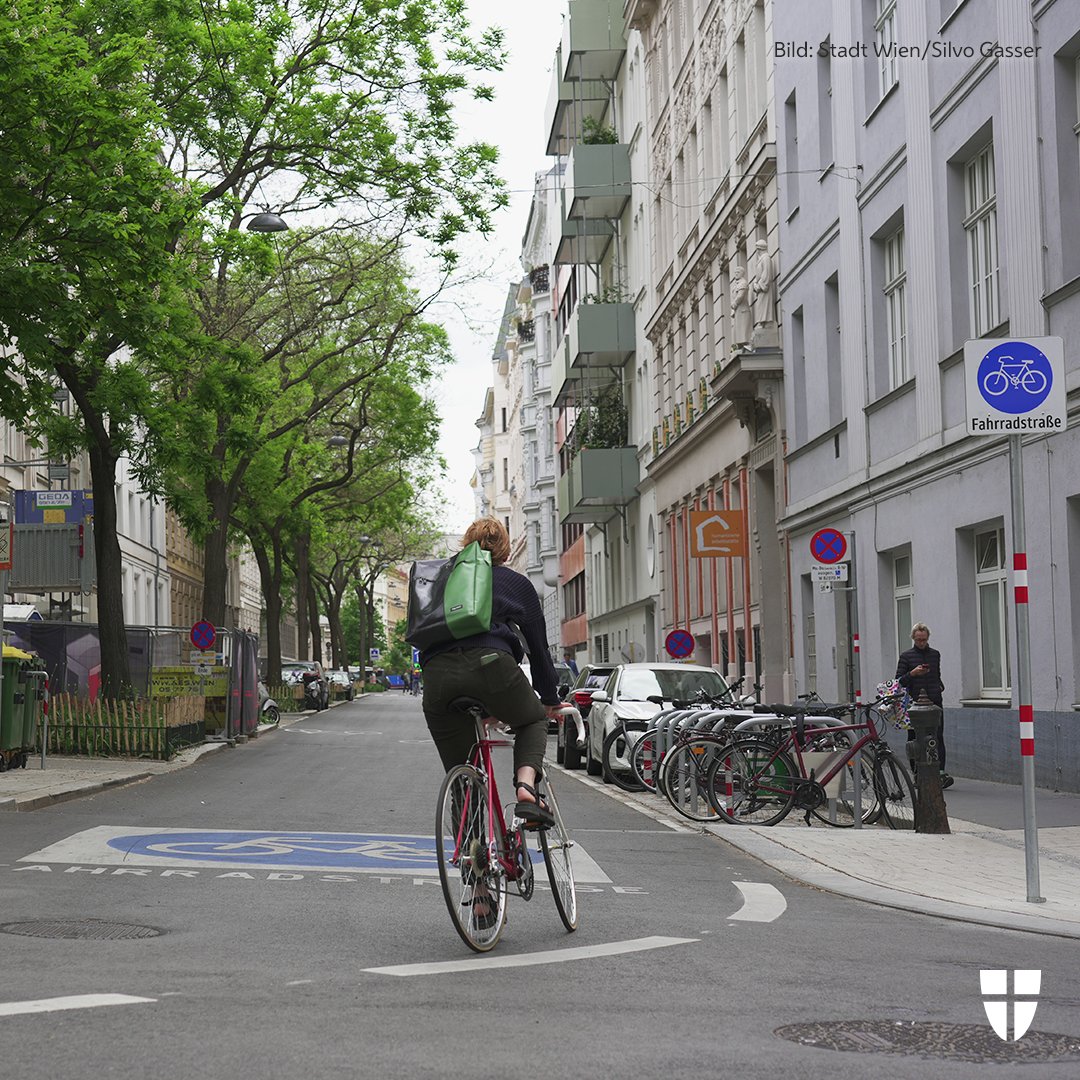 Rund 3.000 m² entsiegelte Fläche, breitere Gehsteige, 14 Bäume und zwei Trinkbrunnen – das erwartet euch im zweiten und letzten Bauabschnitt in der Pfeilgasse. 🌳 Bis Ende 2024 läuft die Umgestaltung von der Strozzigasse bis zur 2er-Linie.😃