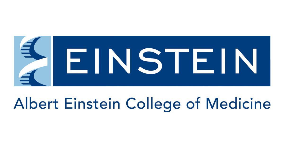 #SciJobs: The @StephRudolphLab @EinsteinMed has a #postdoctoral fellow position open for a candidate with experience in in vitro and in vivo #electrophysiology and/or advanced imaging techniques like 2-photon #imaging. Find out more  buff.ly/3wiOVDn