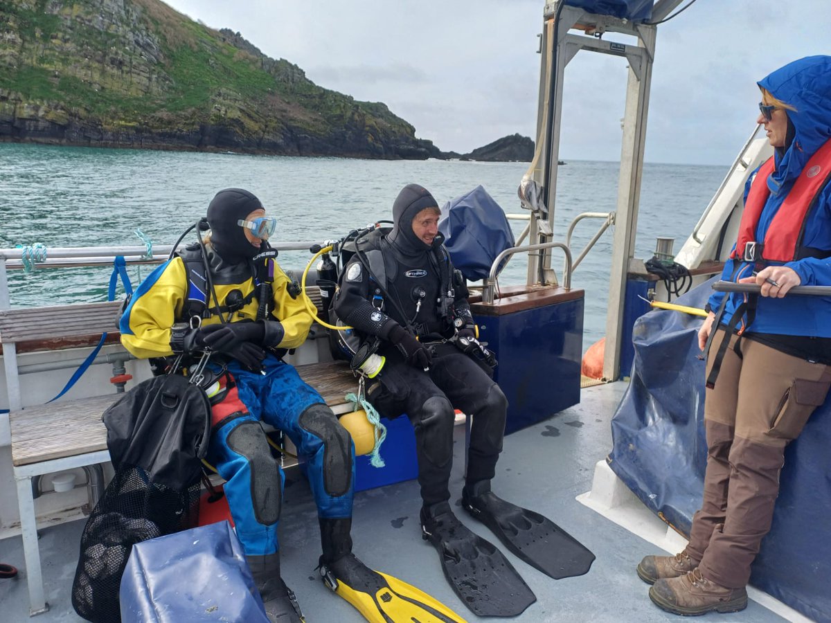 Bit later than planned, but finally got the dive season properly underway: loggers retrieved/replaced, kelp counted and samples collected. 11 deg C water temp, 3-4 m viz, very much looking forward to summer arriving!!! @thembauk @mba_rv @cat_wilding @brough_fraser @TritoniaDiving