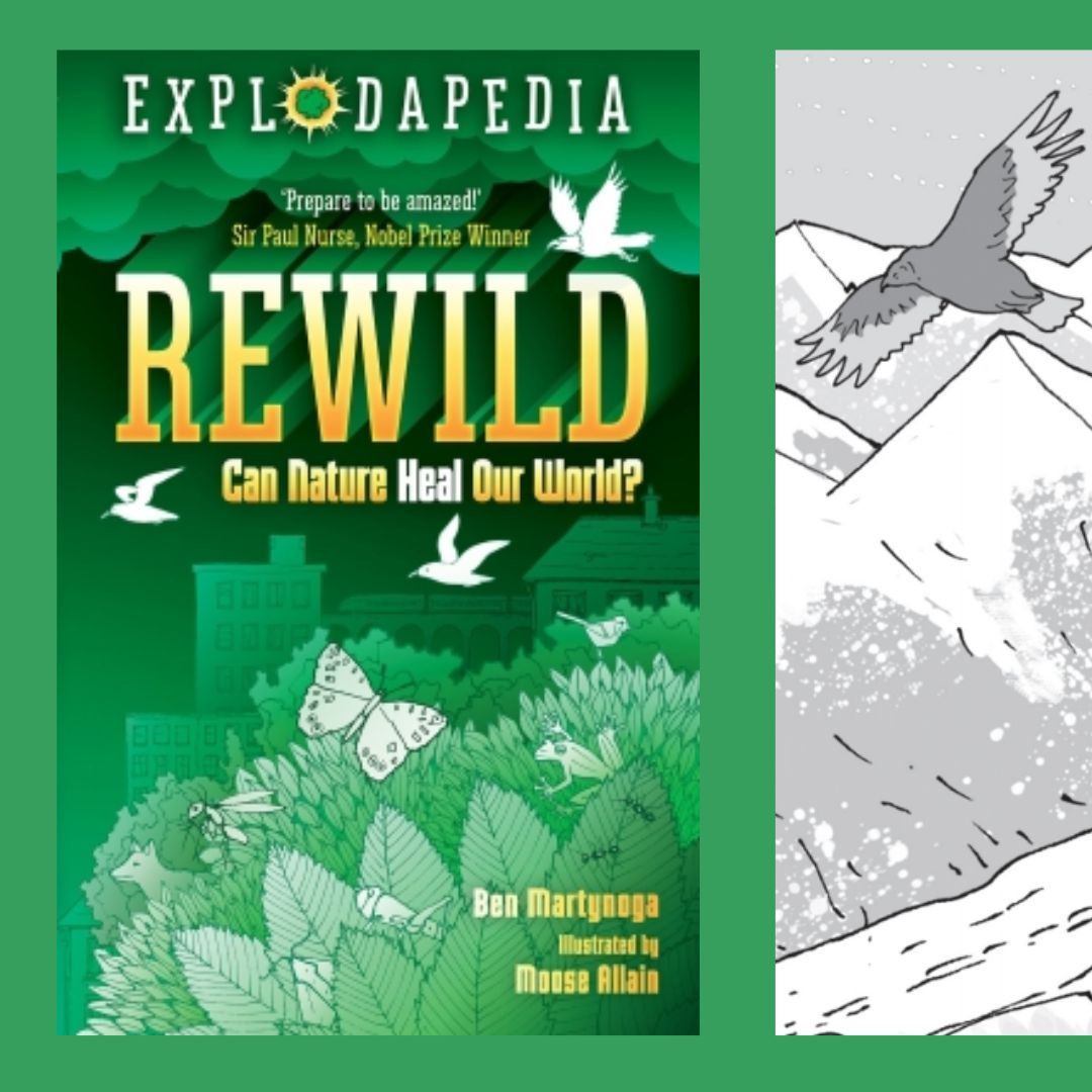 The second instalment of the exciting 'Author Interview' series is live! youtube.com/watch?v=AAoh3B… Will, Josh & Carla got to interview Ben Martynoga about his new book ReWild - well done all! #proudtobeucc @lovereading4kids