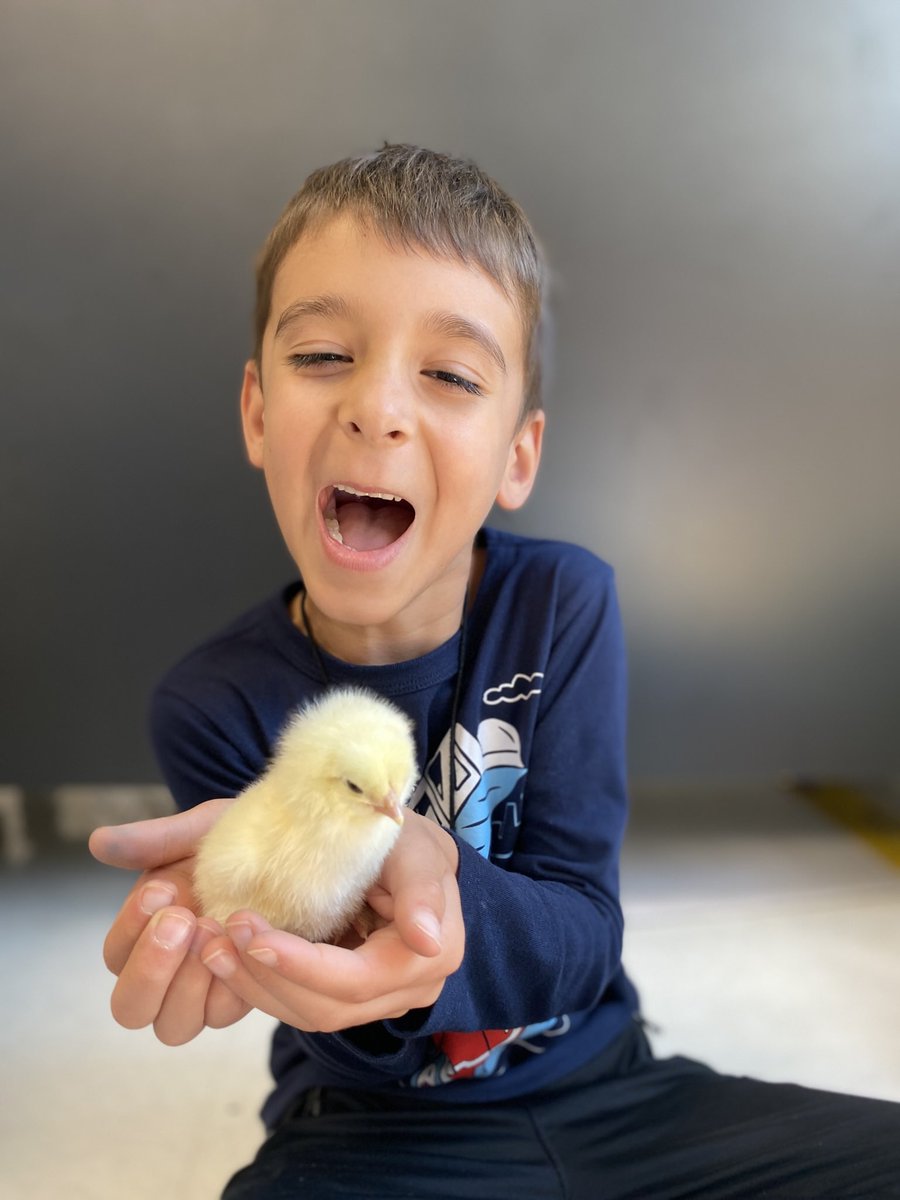 Kindergarten Wonderland tweet media