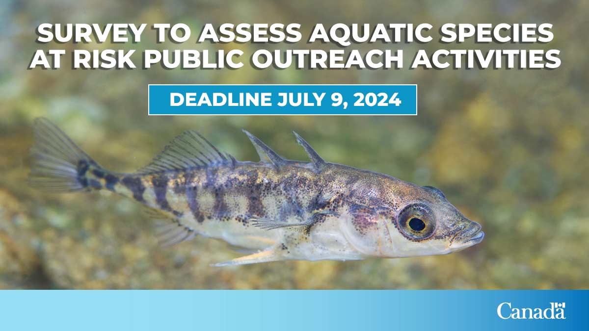 It’s our priority to help protect, recover, and conserve the aquatic species that need our help. That’s why we’re seeking your feedback to help us better understand what aquatic species at risk information you want to see! 📋Fill out the survey today: ow.ly/EhKy50Ru2jb