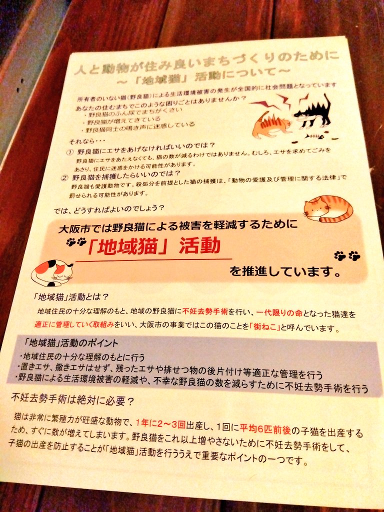 大阪市
『多頭飼育崩壊防止を目的とした飼い猫の不妊・去勢手術助成事業』&『適正飼育指導』広まんないかしら😂

手術代捻出厳しい対象者の元へ届いて欲しいよ～
適正飼育進んで欲しいよ～
飼い猫、外に出す家が有る限りちゃんとした『地域猫活動』なんて難しいやん。