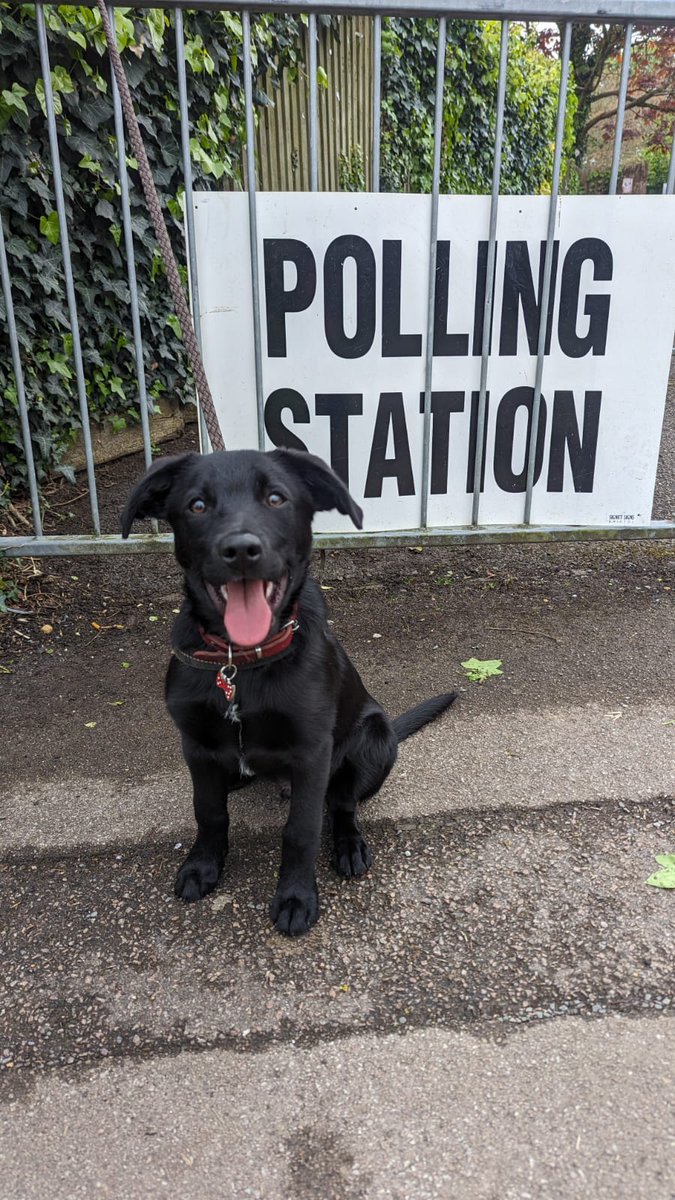 Kim's first vote. He's not sure what he's voting for either. #dogsatpollingstations
