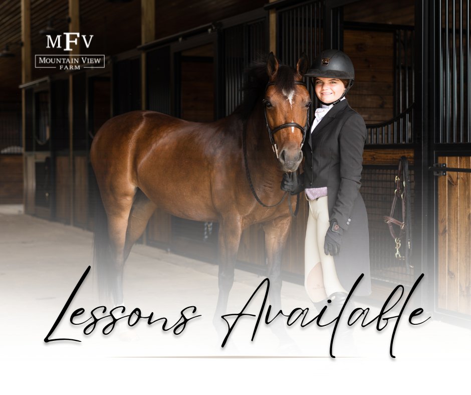If you want to improve your riding skills, we would love to have you come train and compete with the Mountain View Farm team! For more information, visit mvfguesthouse.com
#mountainviewfarm #equestrian #welovehorses #thebarnatMVF #joinourequestrianteam