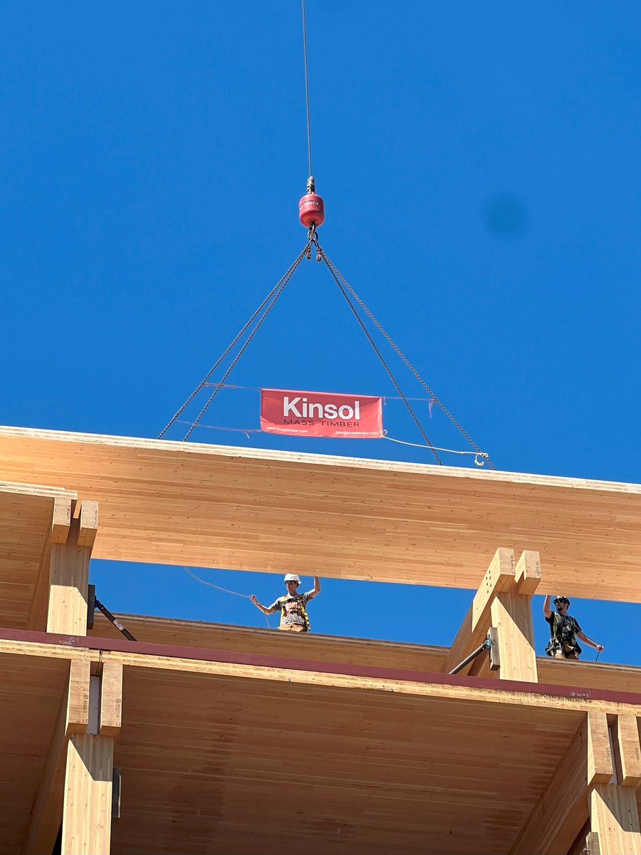 KinsolTimber tweet picture