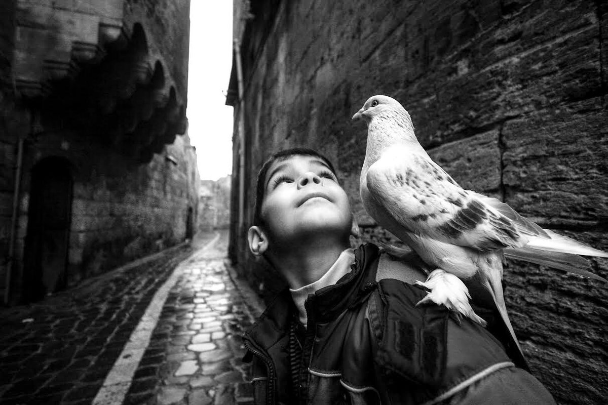 Istanbul, Turkey, 1980. 🇹🇷 📷: Ara Güler