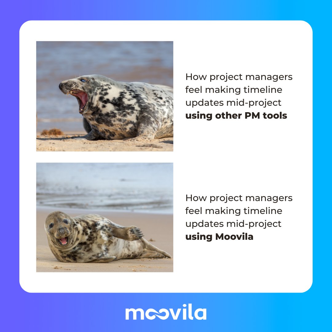 With easy, one-click updates, our AI-driven project automation platform keeps your timelines up-to-date and ensures all project dates remain accurate. Save precious time and maintain precise forecasts with Moovila—your ally in managing the unpredictable! 🔮📊✔️