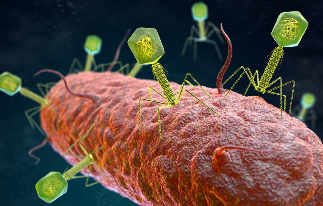 HOW COOL IS THIS? A virus (yes, you read that correctly) could help save BILLIONS of gallons of wastewater produced by fracking. Researchers at UTEP have identified a novel means of treating resilient bacteria found in produced water: Bacteriophages! 

Let’s talk about that! 🧵⬇️