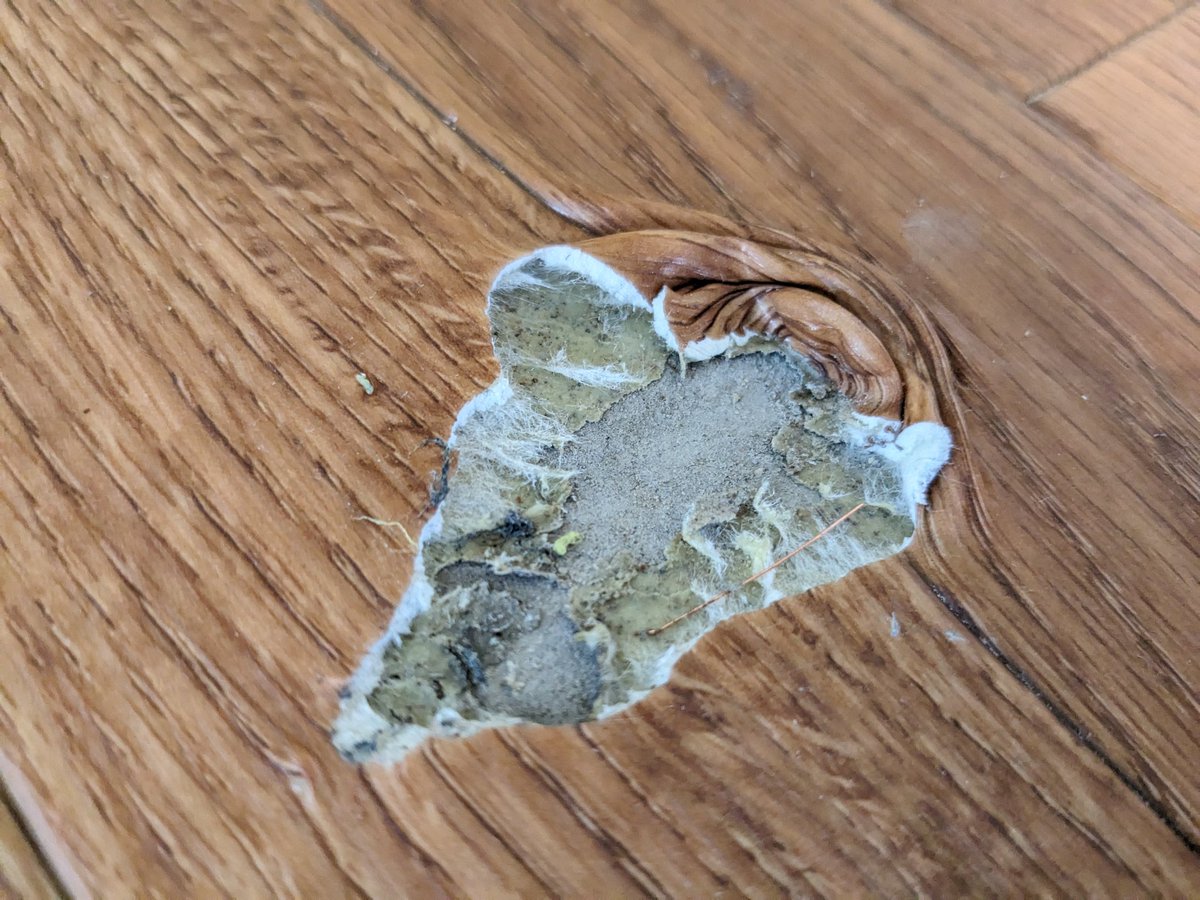 miettal's tweet photo. Amazonで冷蔵庫を購入し、Amazonの設置サービスを使ったんですが、設置の際にマンションの床（クッションフロア）を抉られたようで泣いています。 https://t.co/Yp8KHg6Lr5
