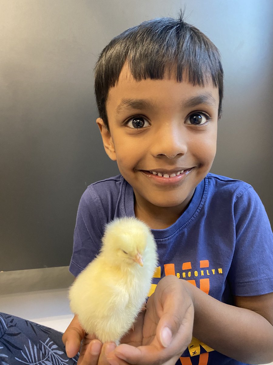 Kindergarten Wonderland tweet media