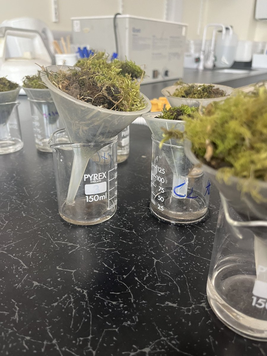 Mr Carson tweet media