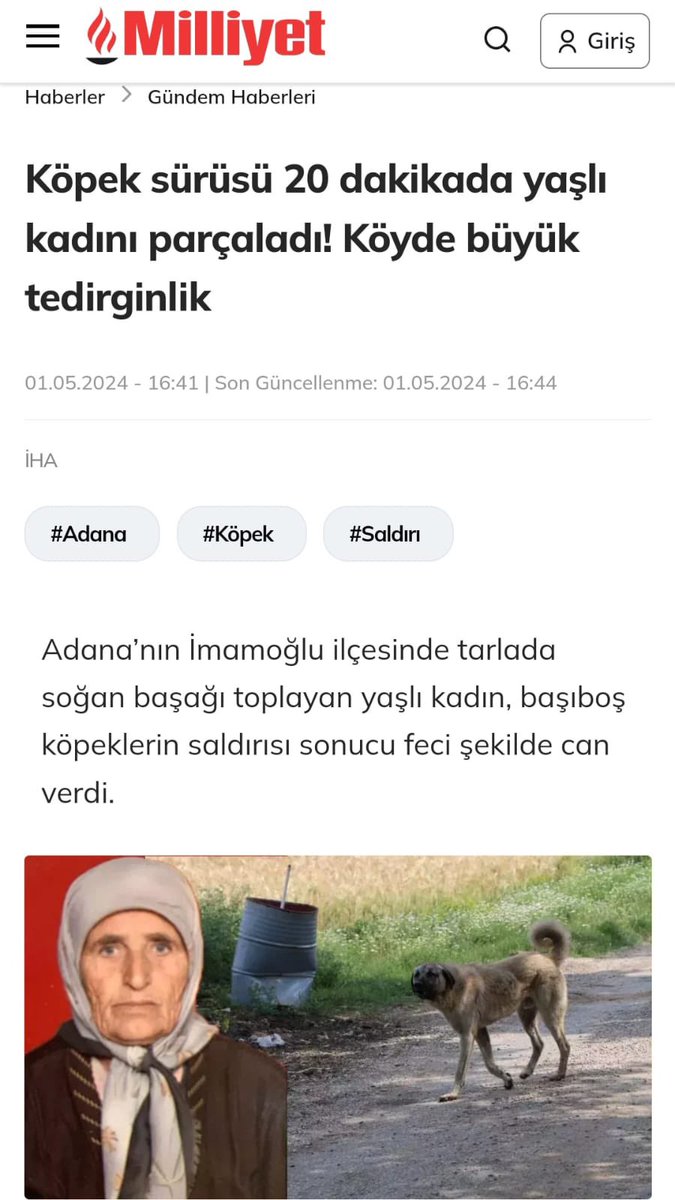 Avrupa şehirlerinde sürüler halinde gezen başıboş köpekleri görmüyoruz. Ancak ülkemizde belediyeler ve valilikler sorumluluklarını yerine getirmediği için başıboş köpekler çocuk ve kadınları parçalıyor.  Herkesi sorumluluklarını yerine getirmeye davet ediyorum.