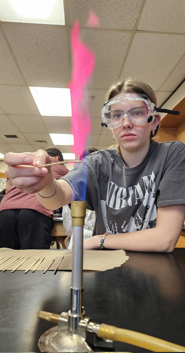 Anna Marie Bair tweet media