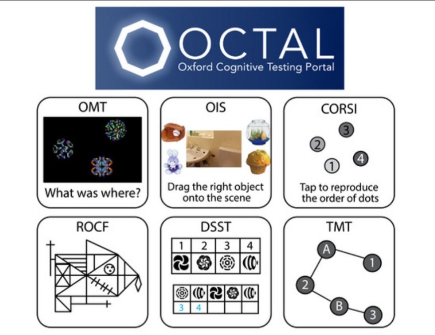 Sofia Toniolo tweet media