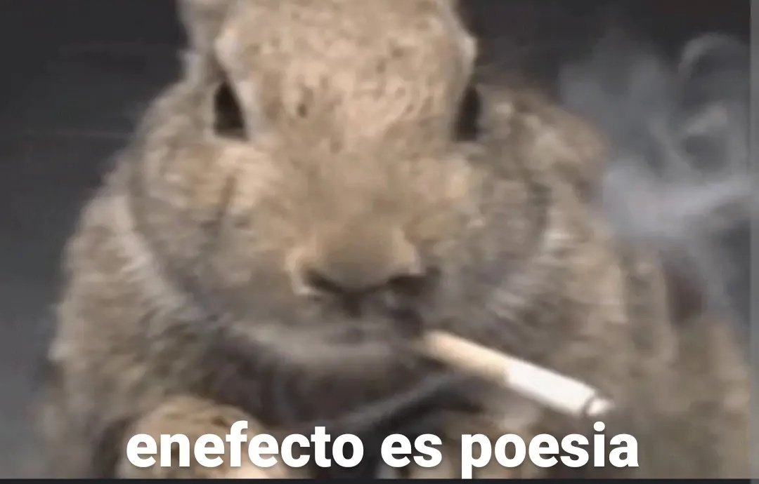 *el café existe*

Yo en corto: