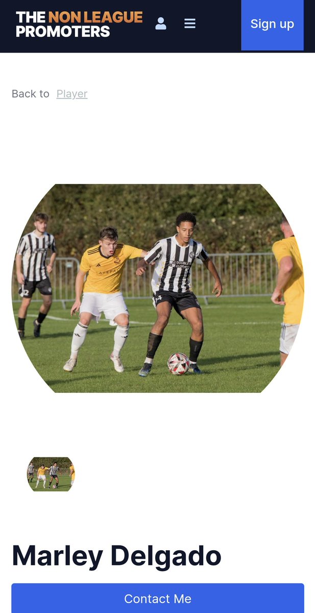 The Non League Promoters tweet media