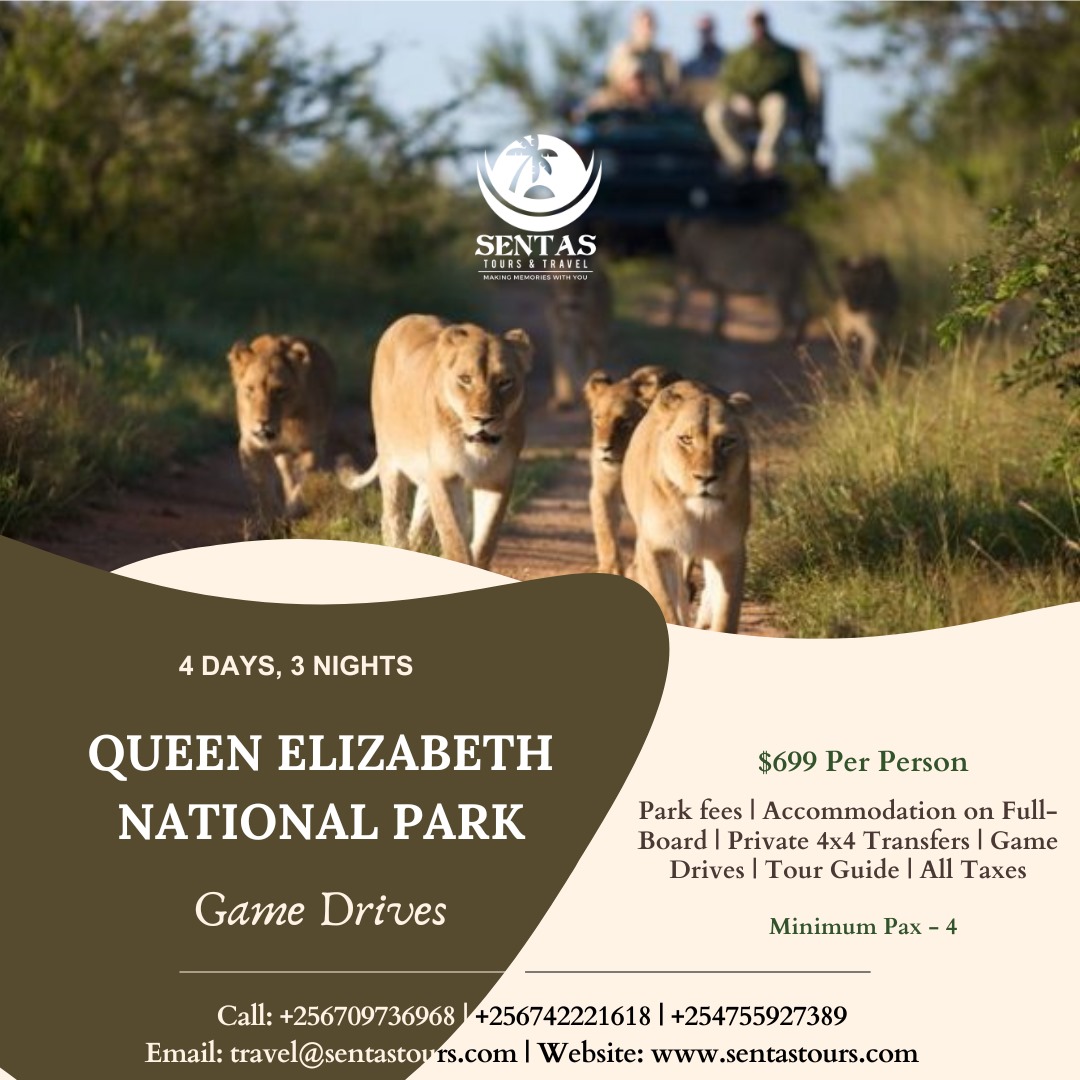 Have you been to Queen Elizabeth National Park? 🇺🇬

Experience the wild nature alongside extensive game drives with your friends and family!! 

#uganda #traveluganda #exploreuganda #sentastours #safari #ugandasafari #kampala #entebbe #ugandatours #VisitUganda #UgandaTourism