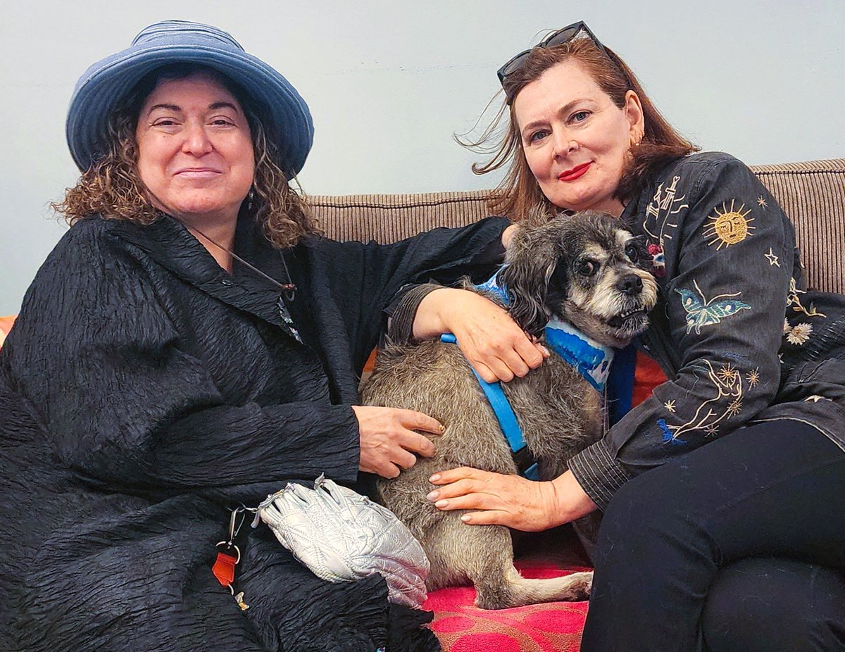 Chunky Monkey was #adopted by his forever moms, Sophie & Sondra in #SanFrancisco! He came from @CCAnimalSrvs, picked up as a stray. (TY, Contra Costa Animal Services!) A sweet and super-friendly chap, life just got 💯 percent better!