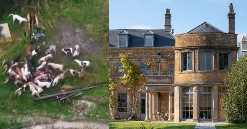 ProtectTheWild_'s tweet photo. Shameful. 'World's Best Boutique Hotel' @thenewtsomerset - 'A country estate celebrating all things Somerset'

The fox killing BSV Hunt have been hosted by The Newt hotel for years. 

The hotel must cut their ties. RT if you agree!

Sign the petition: 

https://t.co/nQfN4raFhC https://t.co/cbvaIyCkjZ