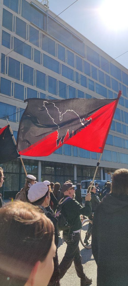 Nyt on menty törkeästi rajan ylitse. Kuolema häpäisijöille! Kissan kuva on kehdattu ottaa tuollaiseen lippuun. Nyt kaikki. KISSAT ANTIFAA VASTAAN - kissat tahtovat sinimustaa Suomea !