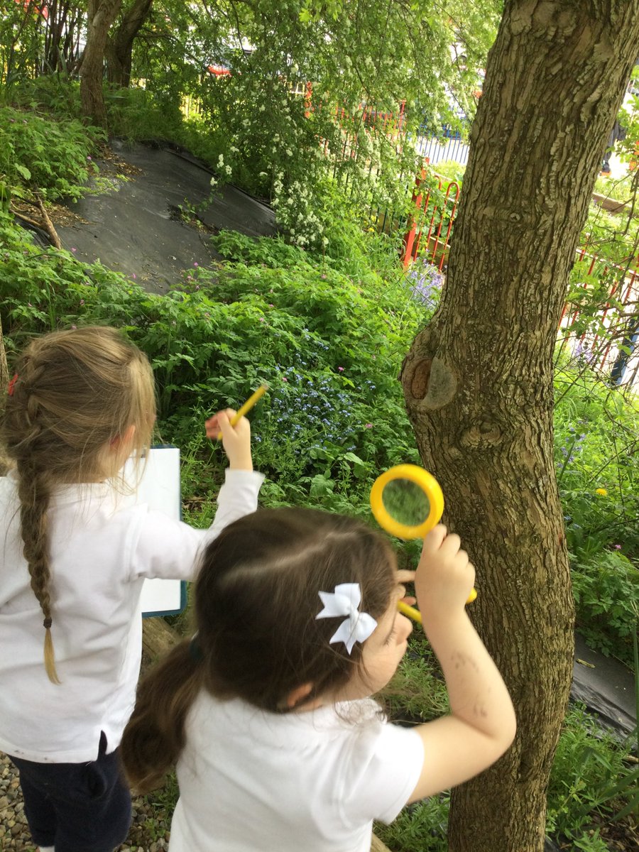 In Reception the children have been learning that minibeasts like to live in different microhabitats and know these places have commonalities.

The children went on a minibeast hunt, tallying the common minibeasts they found and their microhabitats.