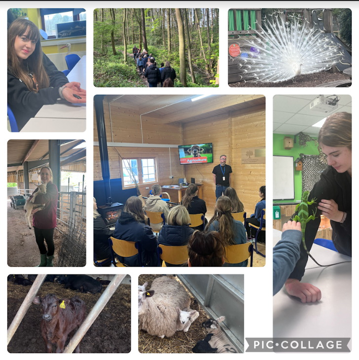 Careers at Ponteland High School tweet media